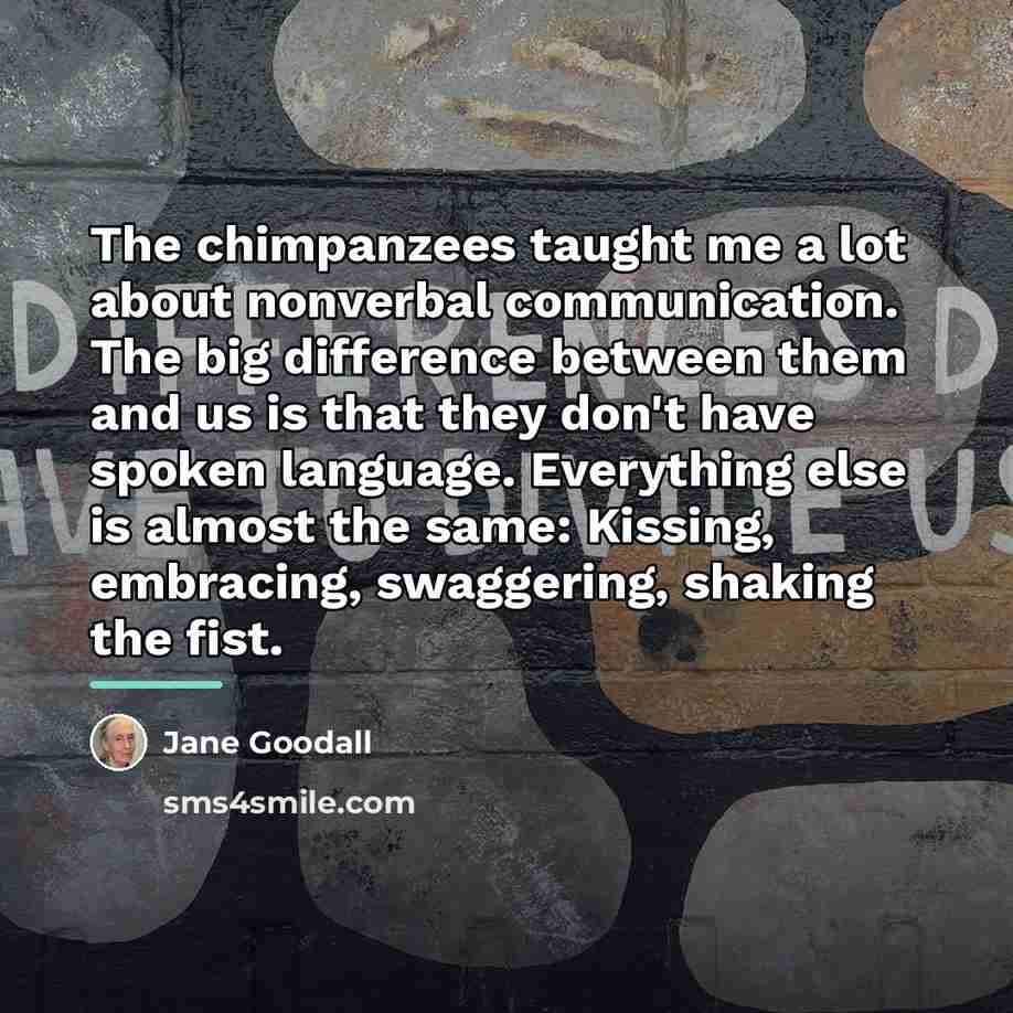 “The chimpanzees taught me a lot about nonverbal communication. The…” quote by Jane Goodall