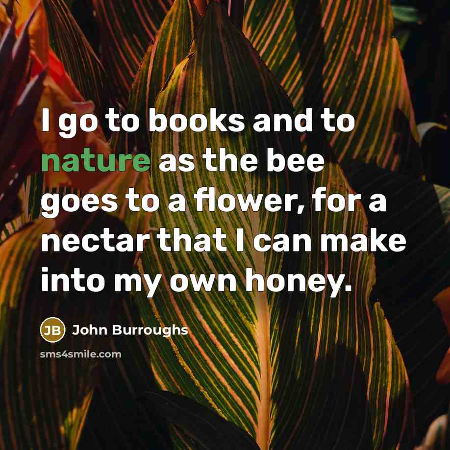“I go to books and to nature as the bee…” quote by John Burroughs