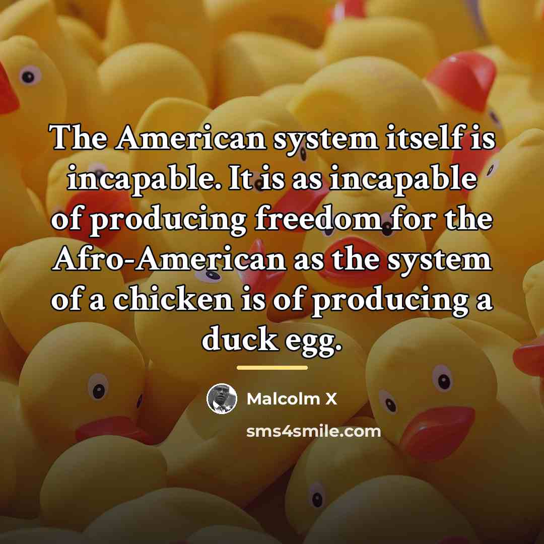 “The American system itself is incapable. It is as incapable…” quote by Malcolm X