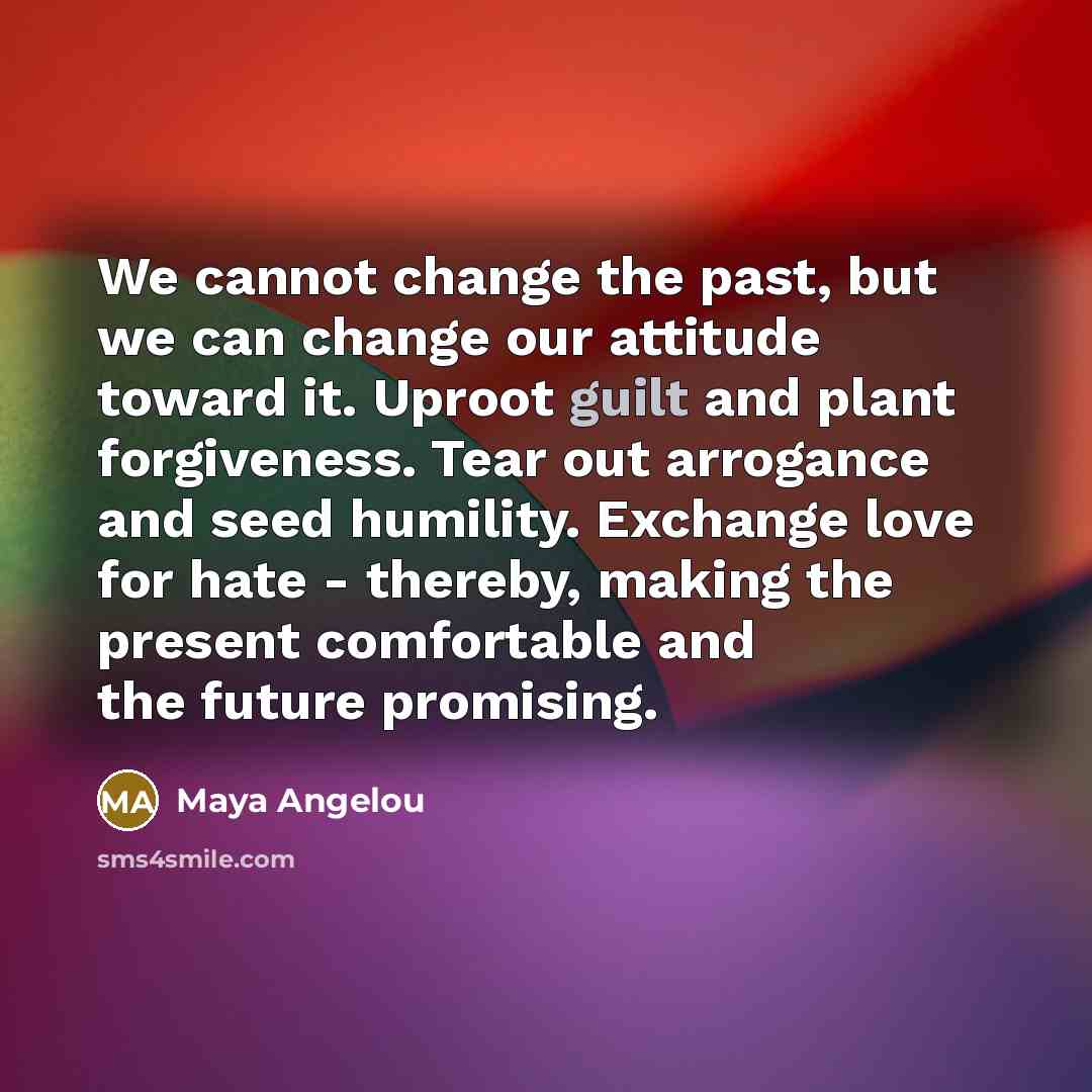 “We cannot change the past, but we can change our…” quote by Maya Angelou