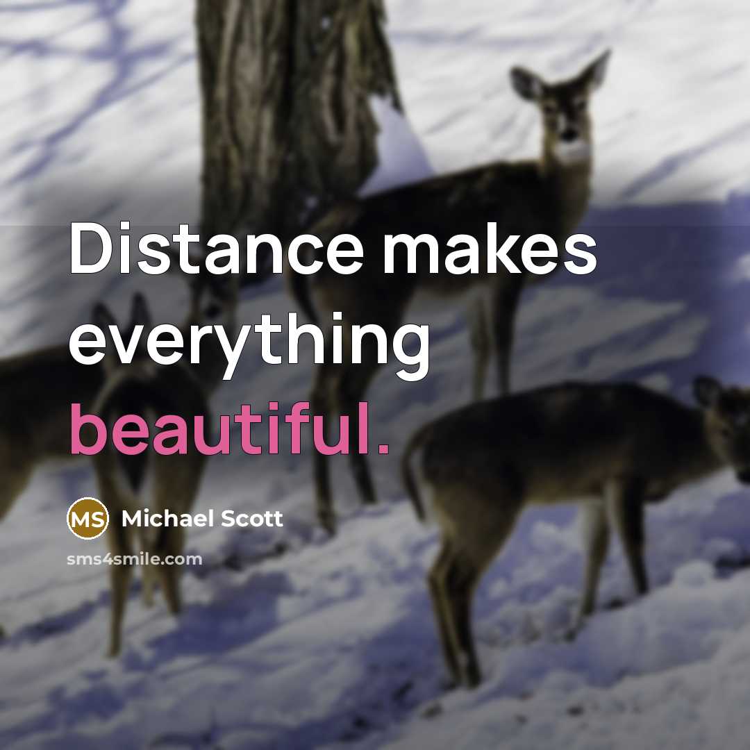“Distance makes everything beautiful.…” quote by Michael Scott