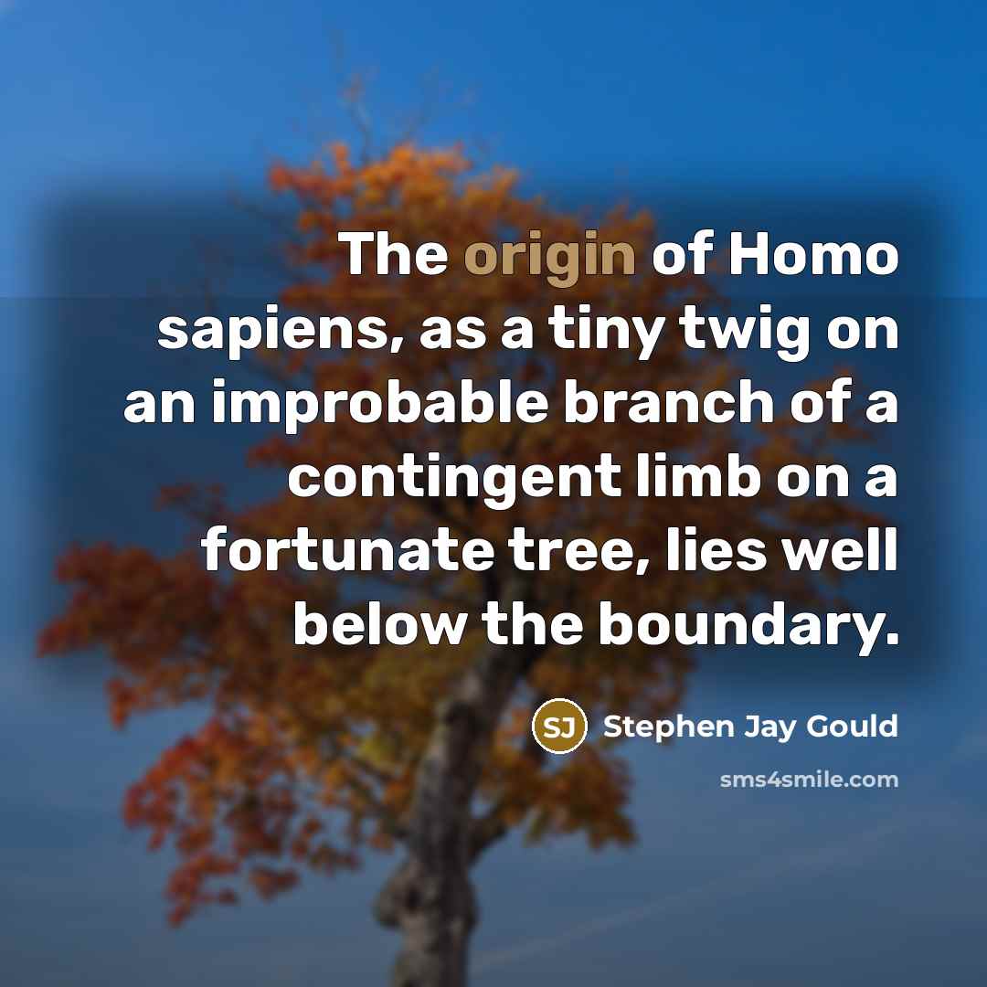 “The origin of Homo sapiens, as a tiny twig on…” quote by Stephen Jay Gould