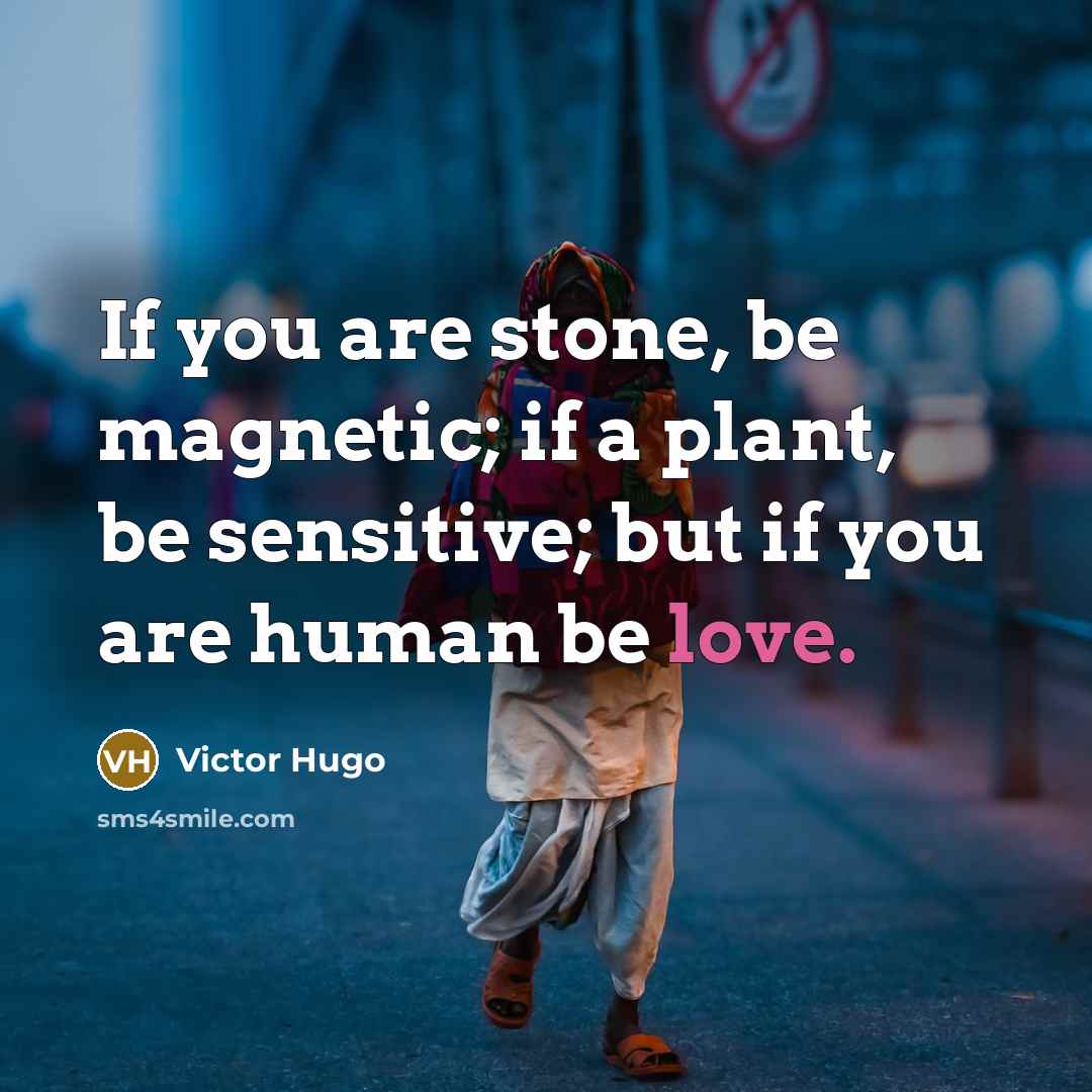 “If you are stone, be magnetic; if a plant, be…” quote by Victor Hugo