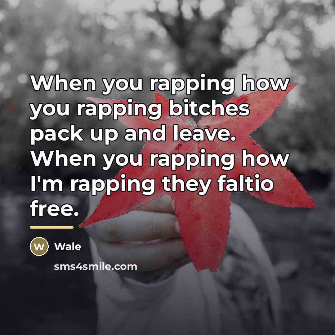 “When you rapping how you rapping bitches pack up and…” quote by Wale