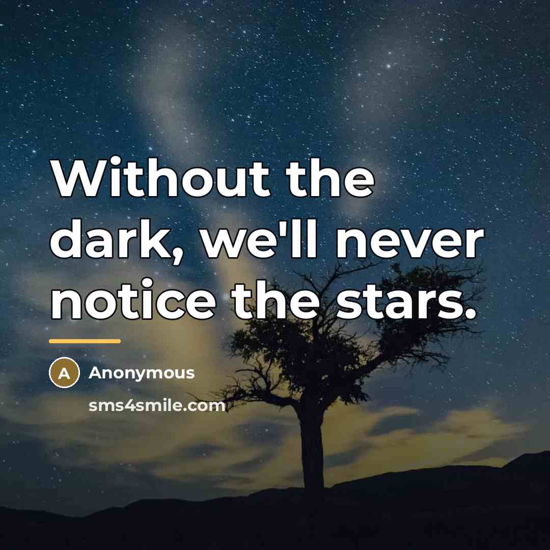 “Without the dark, we'll never notice the stars.…” quote by Anonymous