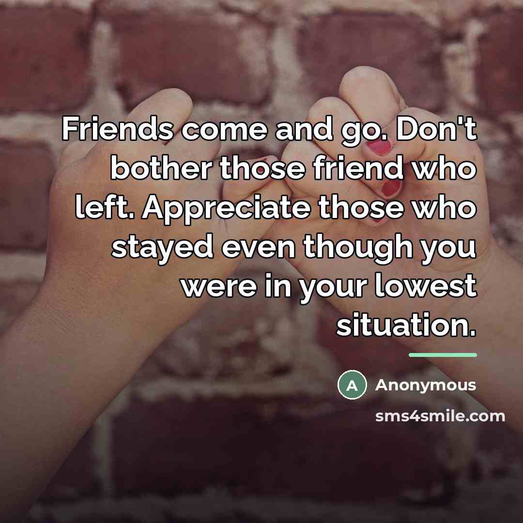 “Friends come and go. Don't bother those friend who left.…” quote by Anonymous