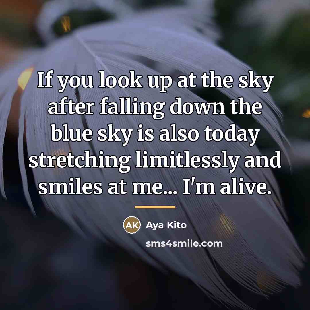 “If you look up at the sky after falling down…” quote by Aya Kito