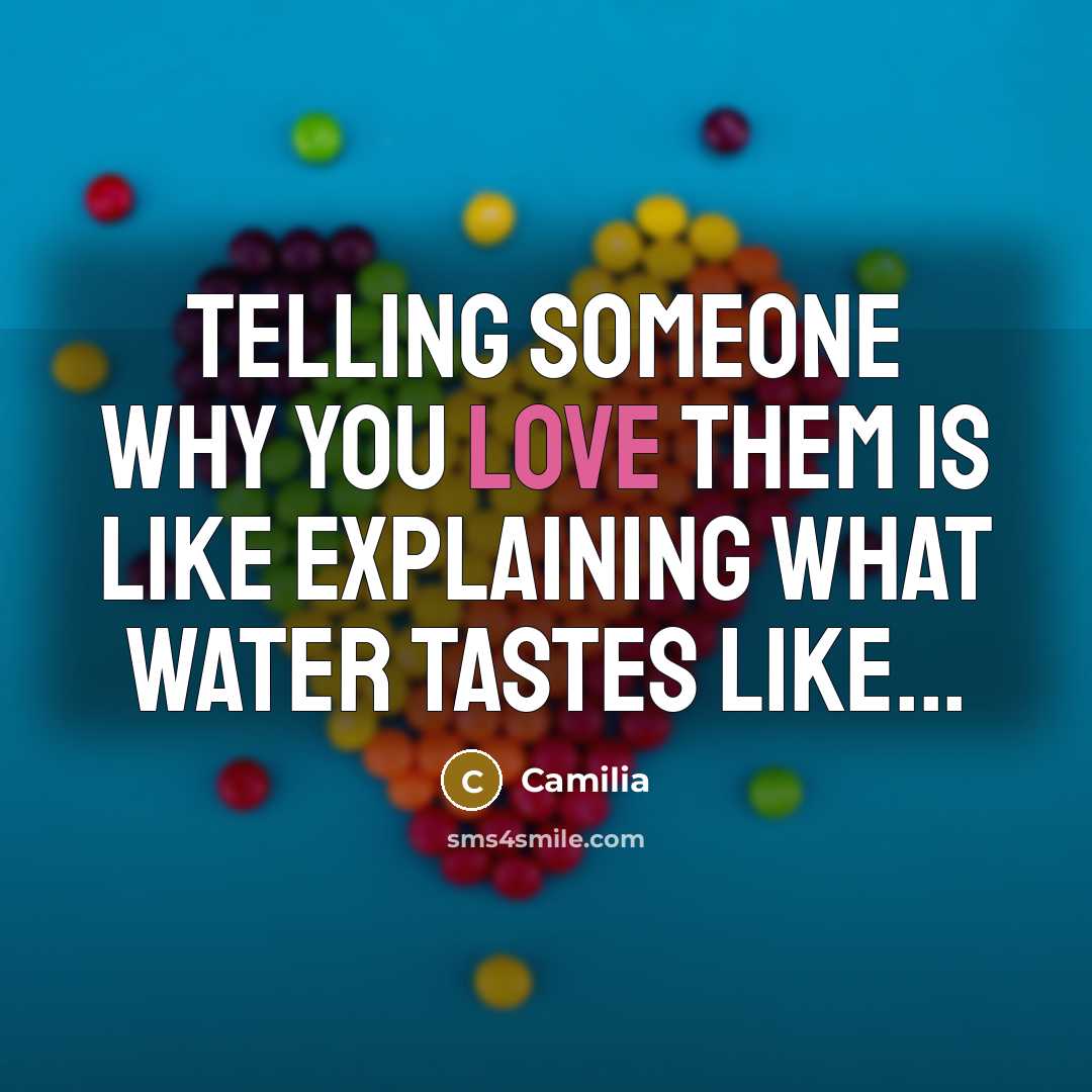 “Telling someone why you love them is like explaining what…” quote by Camilia
