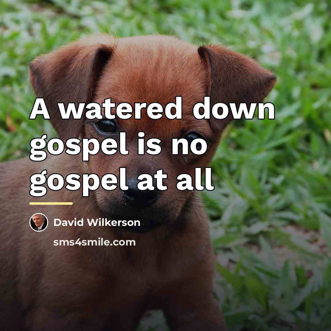 “A watered down gospel is no gospel at all…” quote by David Wilkerson
