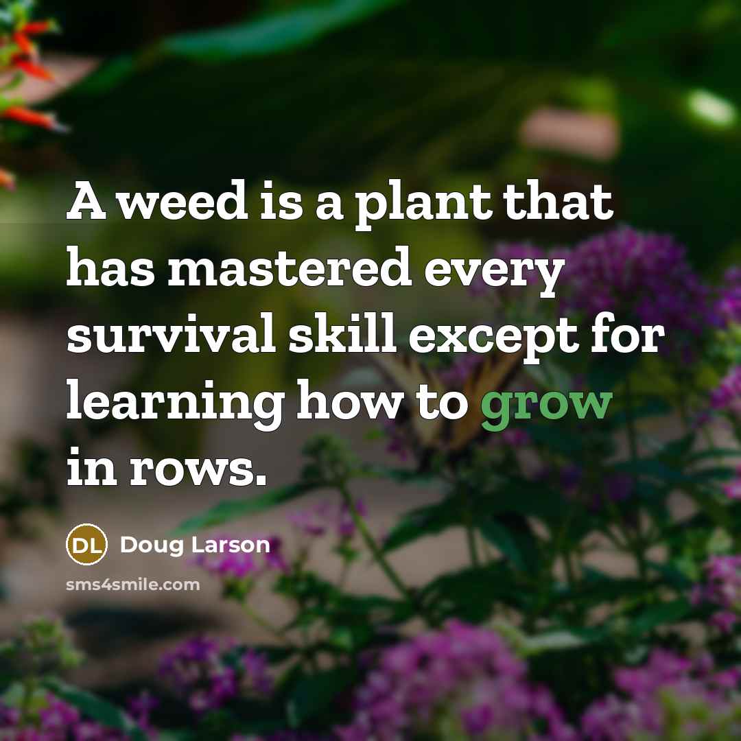 “A weed is a plant that has mastered every survival…” quote by Doug Larson