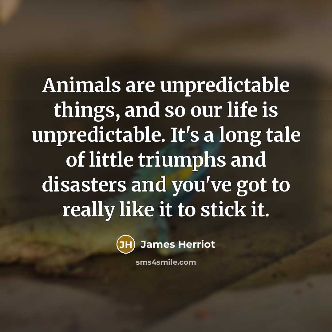 “Animals are unpredictable things, and so our life is unpredictable.…” quote by James Herriot