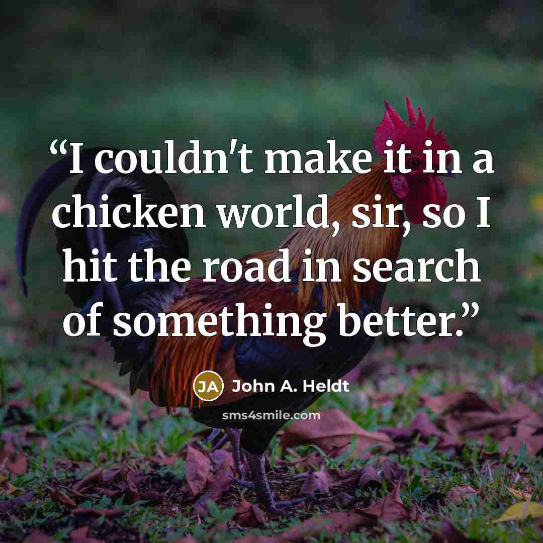 “I couldn't make it in a chicken world, sir, so I hit the road in search of something better.” quote by John A. Heldt