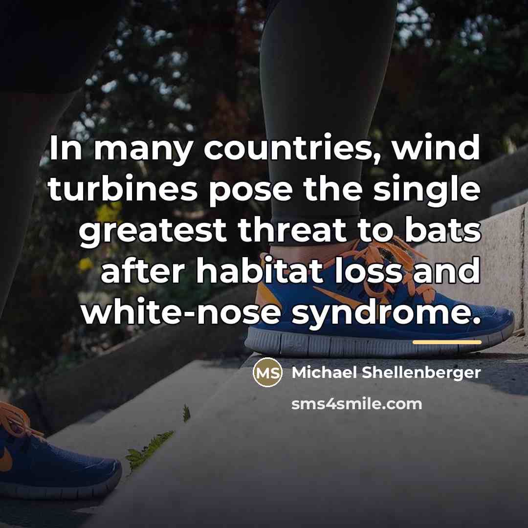 “In many countries, wind turbines pose the single greatest threat…” quote by Michael Shellenberger