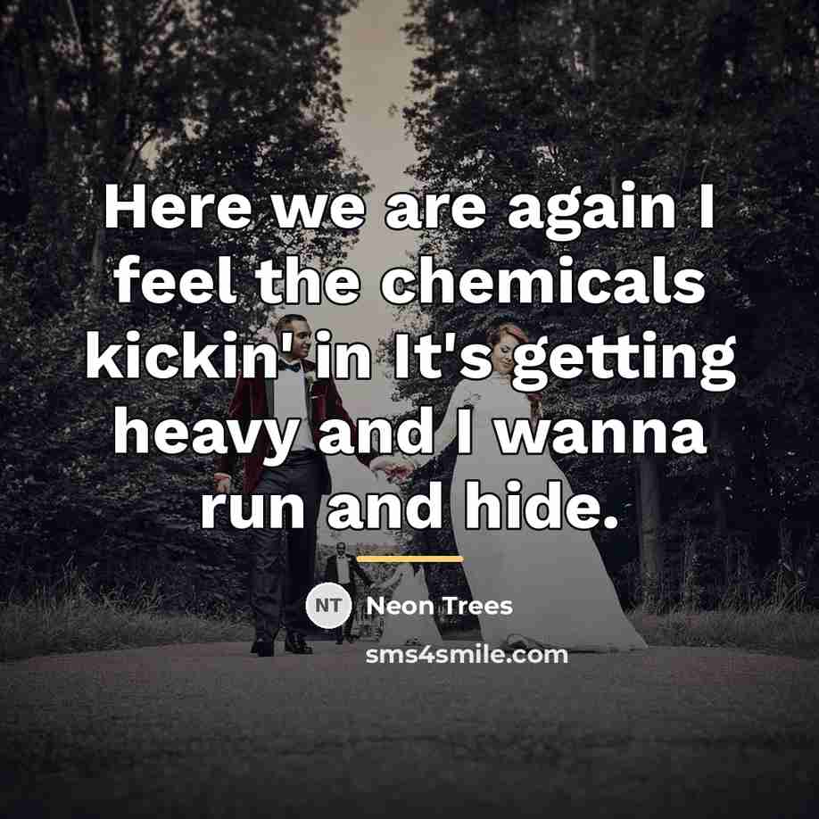 “Here we are again I feel the chemicals kickin' in…” quote by Neon Trees