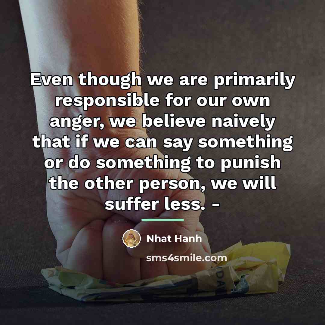 “Even though we are primarily responsible for our own anger,…” quote by Nhat Hanh