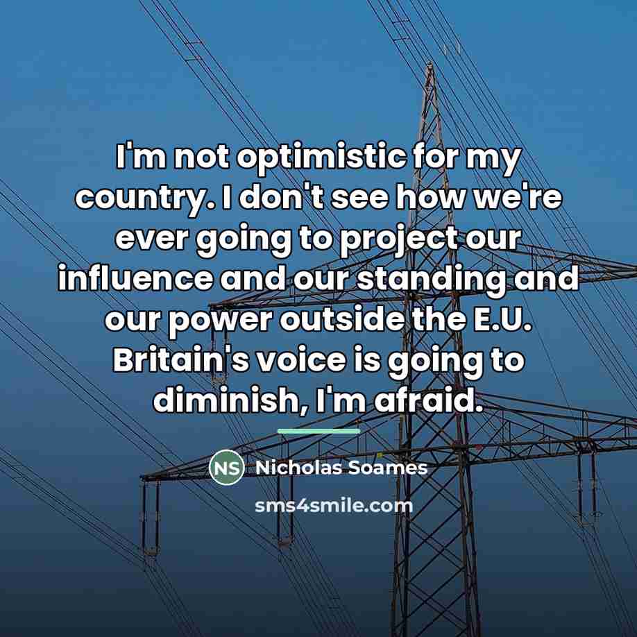 “I'm not optimistic for my country. I don't see how…” quote by Nicholas Soames