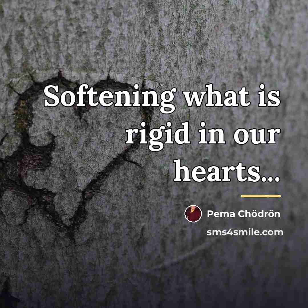 “Softening what is rigid in our hearts...…” quote by Pema Chodron