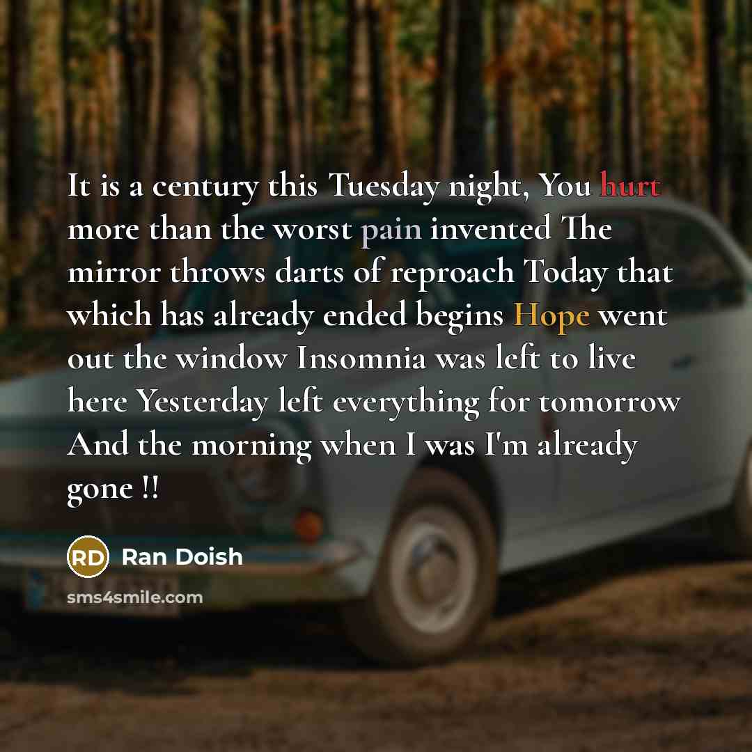 “It is a century this Tuesday night, You hurt more than the worst pain invented The mirror throws darts of reproach Today that which has already ended begins Hope went out the window Insomnia was left to live here Yesterday left everything for tomorrow And the morning when I was I'm already gone !!” quote by Ran Doish