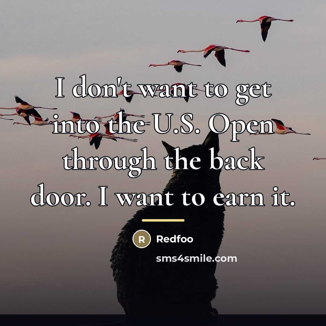 “I don't want to get into the U.S. Open through…” quote by Redfoo