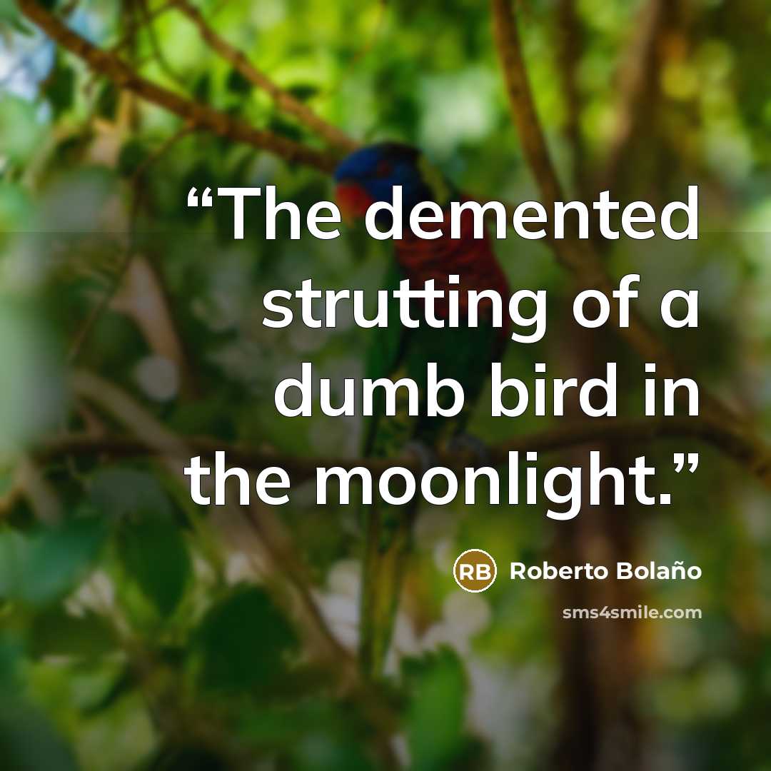 “The demented strutting of a dumb bird in the moonlight.” quote by Roberto Bolaño