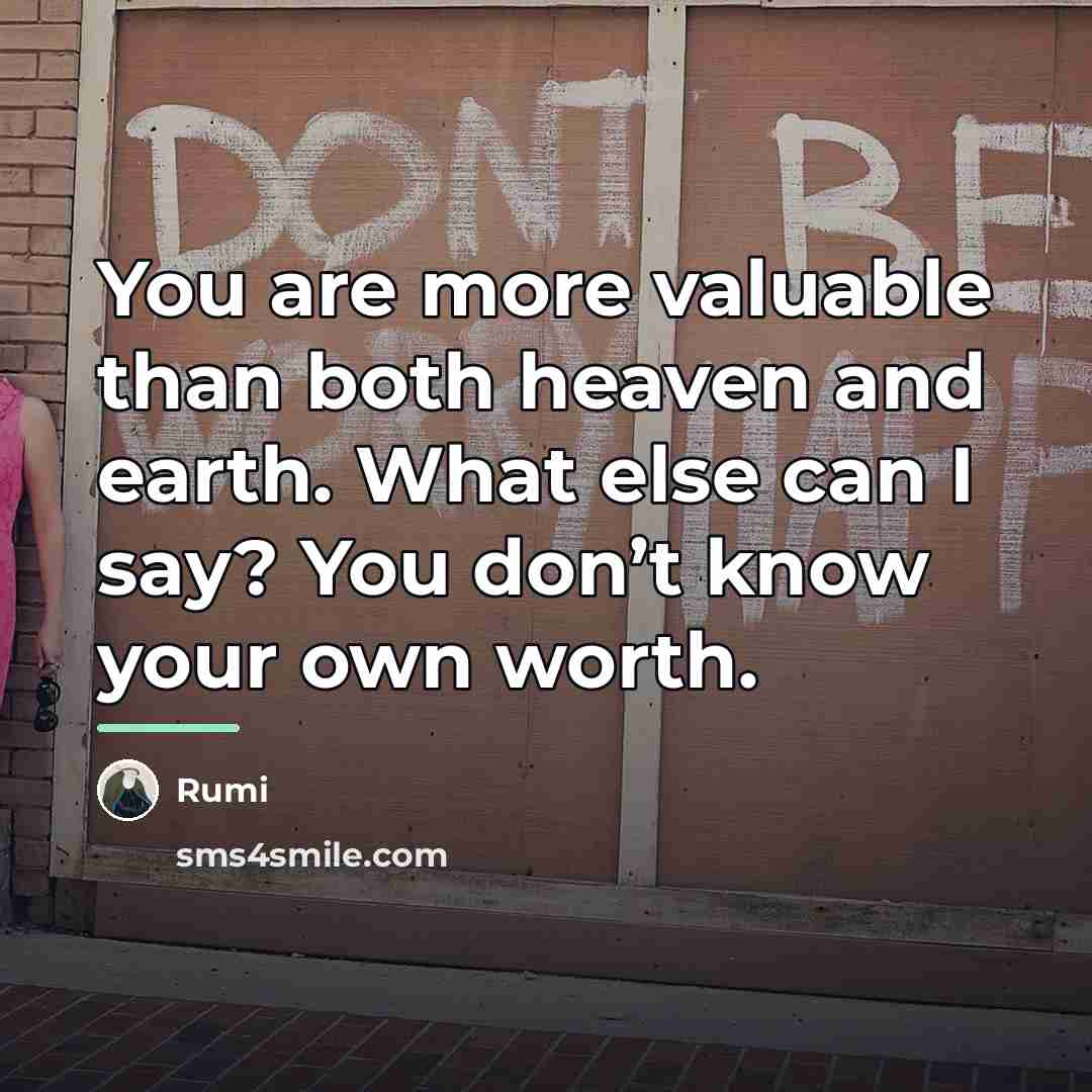 “You are more valuable than both heaven and earth. What…” quote by Rumi