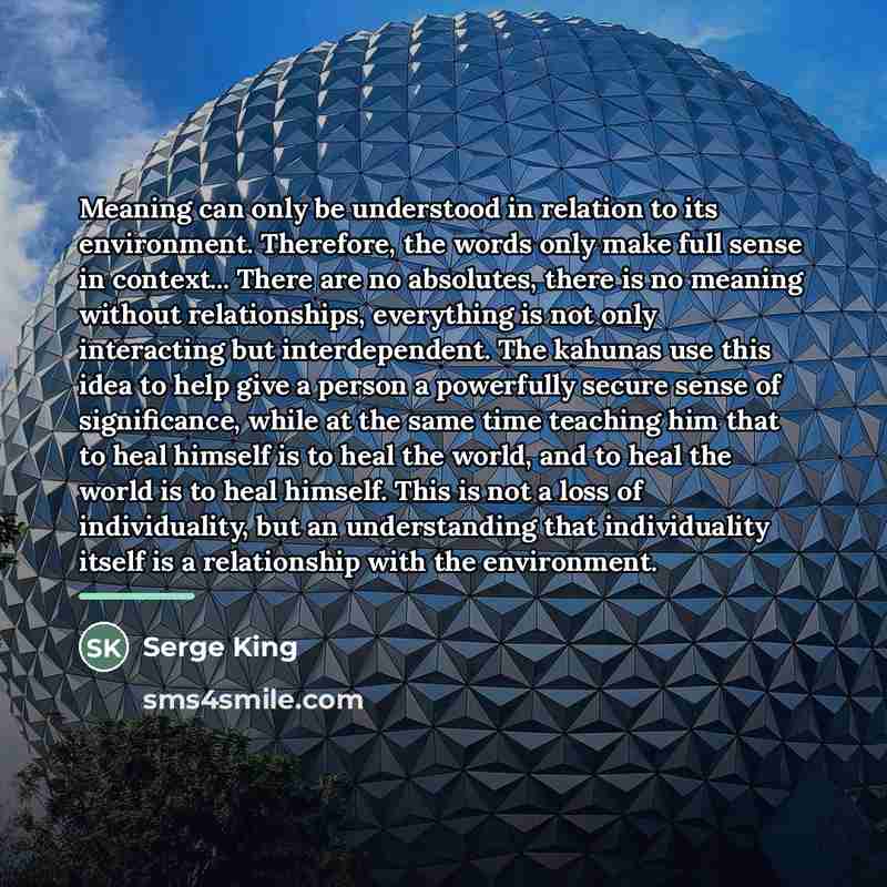 “Meaning can only be understood in relation to its environment.…” quote by Serge King
