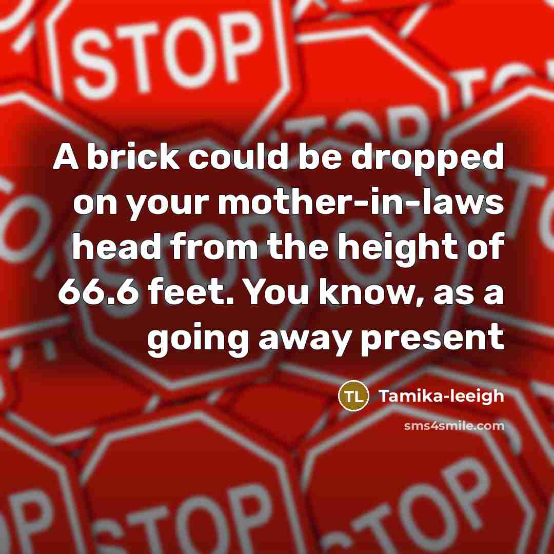 “A brick could be dropped on your mother-in-laws head from…” quote by Tamika-leeigh