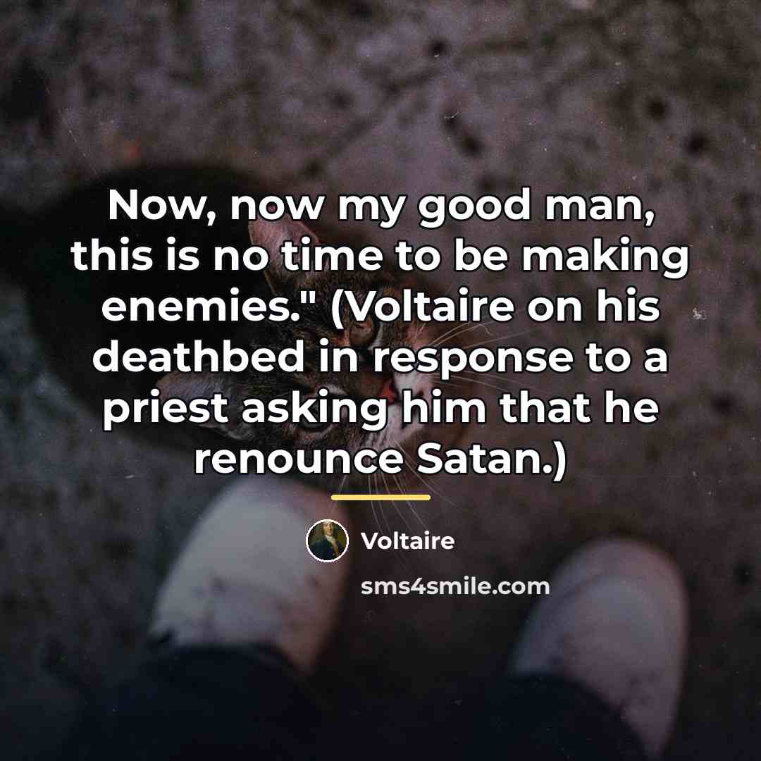 “Now, now my good man, this is no time to…” quote by Voltaire