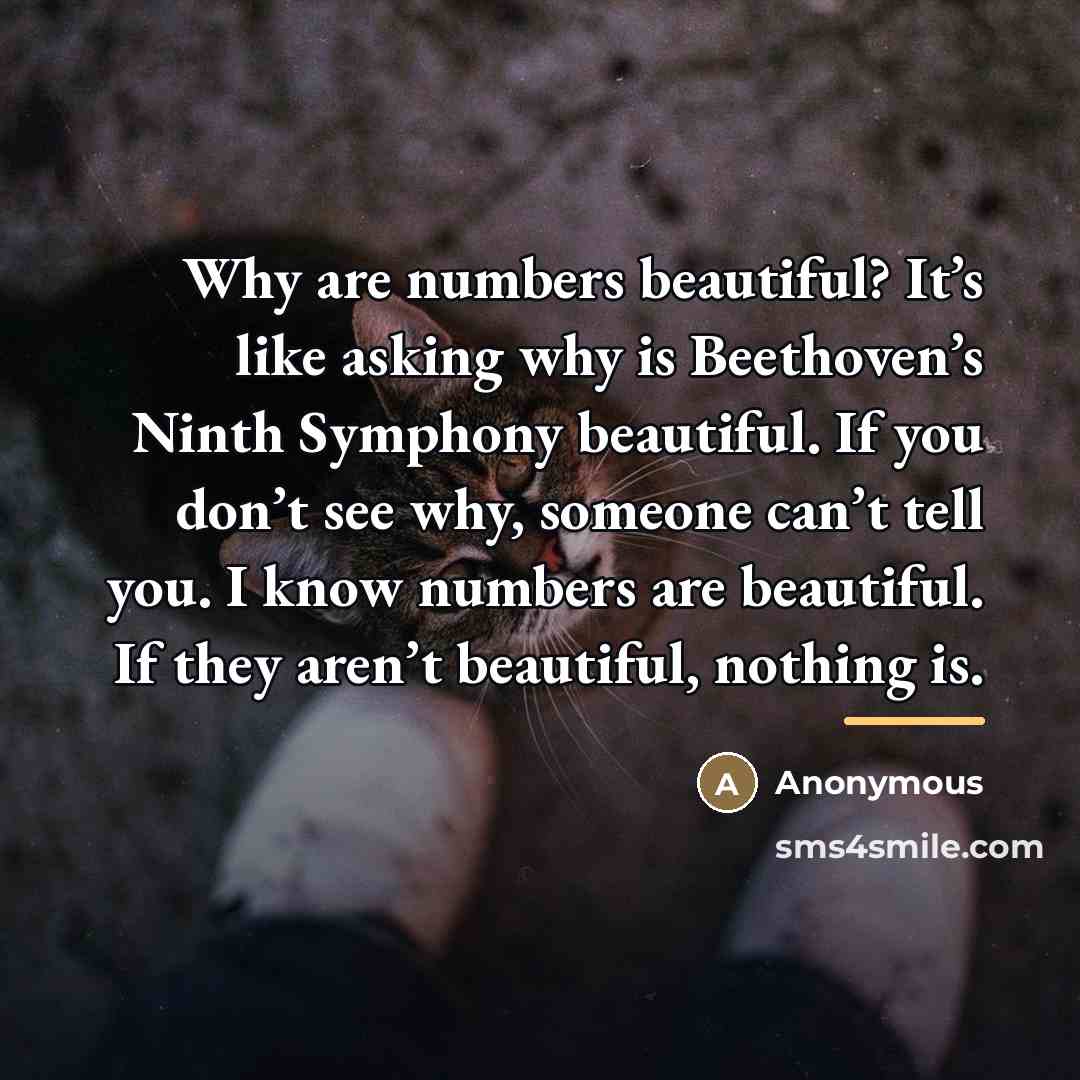 “Why are numbers beautiful? It’s like asking why is Beethoven’s…” quote by Anonymous