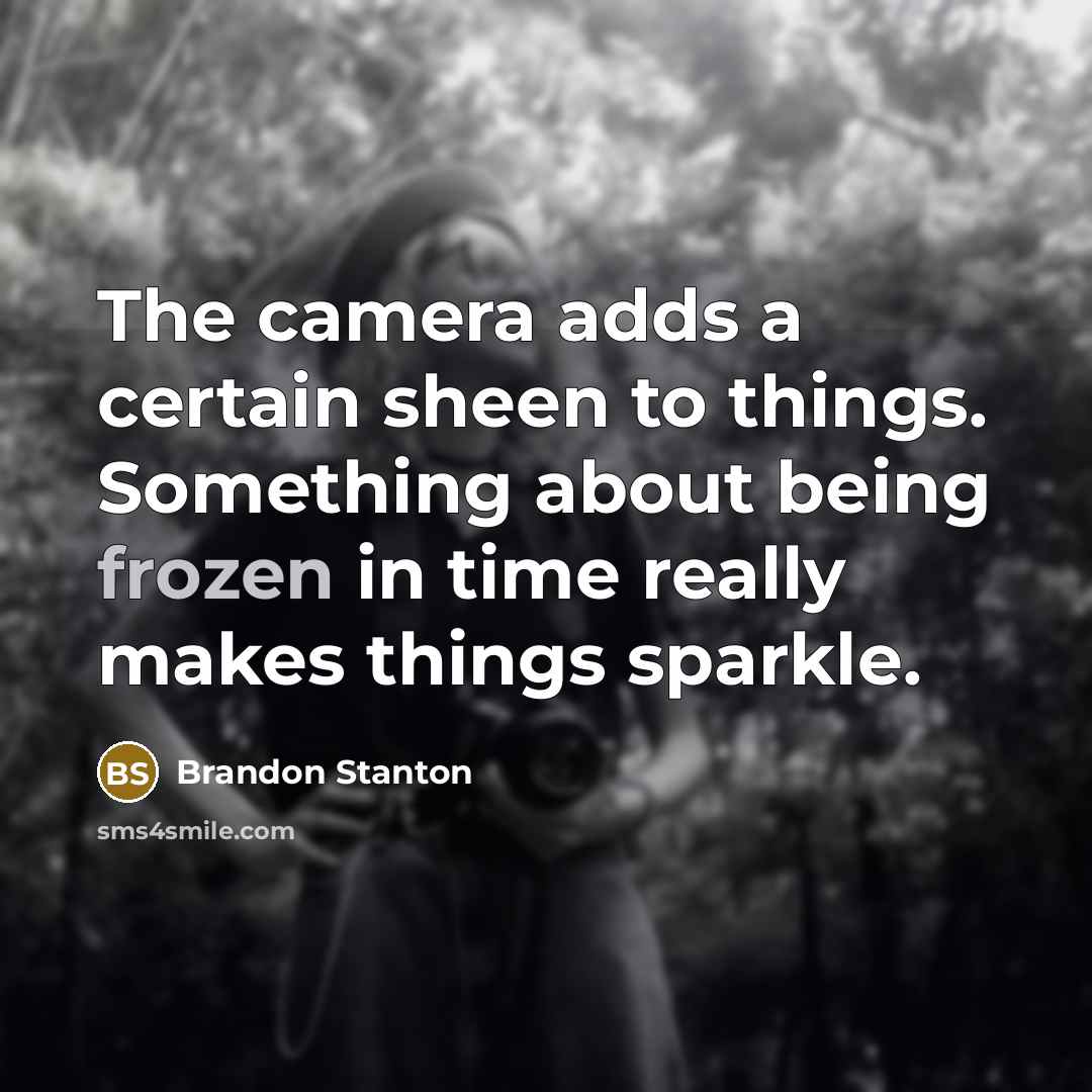 “The camera adds a certain sheen to things. Something about…” quote by Brandon Stanton