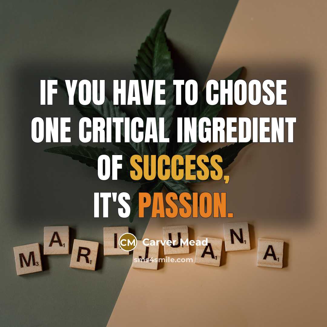“If you have to choose one critical ingredient of success,…” quote by Carver Mead