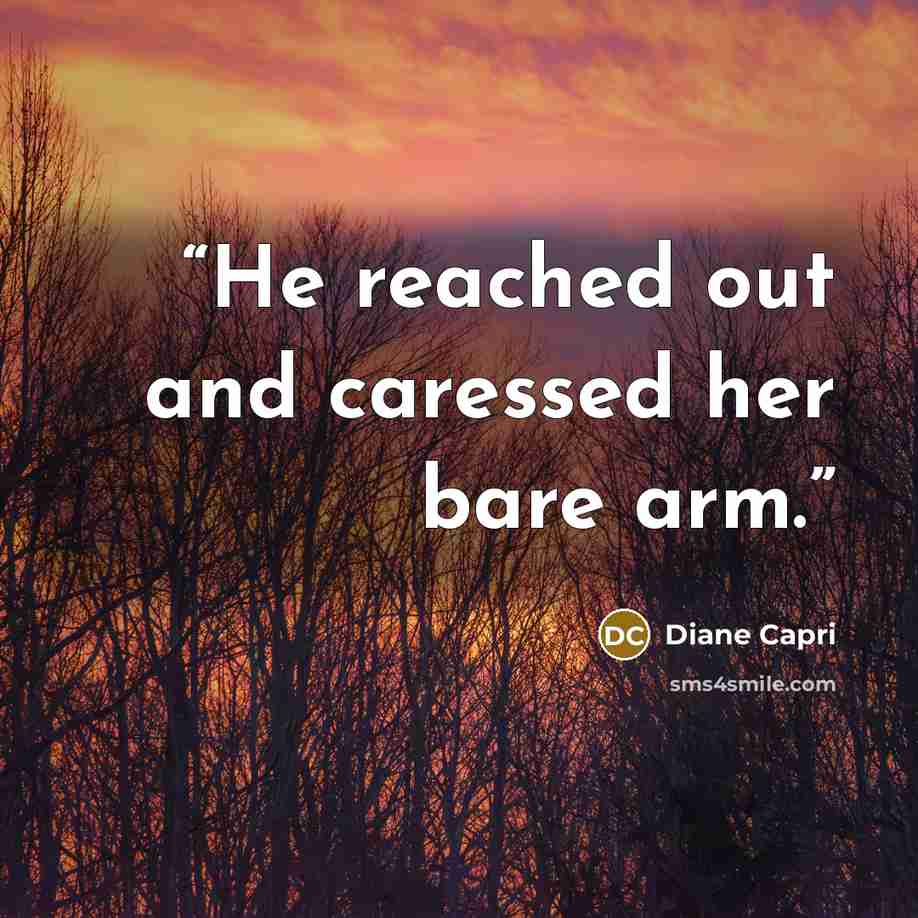 “He reached out and caressed her bare arm.” quote by Diane Capri