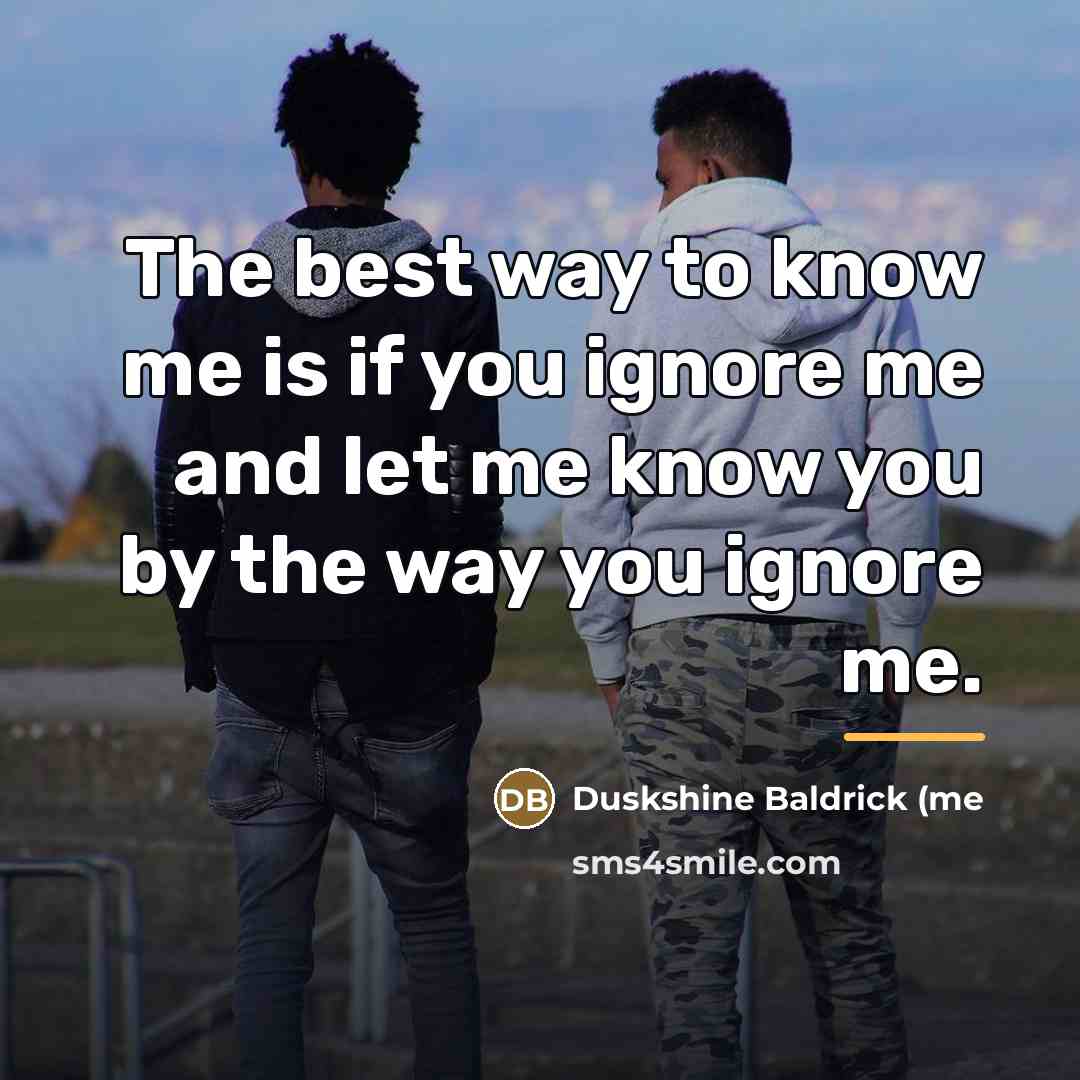 “The best way to know me is if you ignore…” quote by Duskshine Baldrick