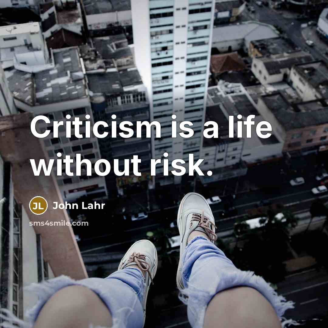 “Criticism is a life without risk.…” quote by John Lahr