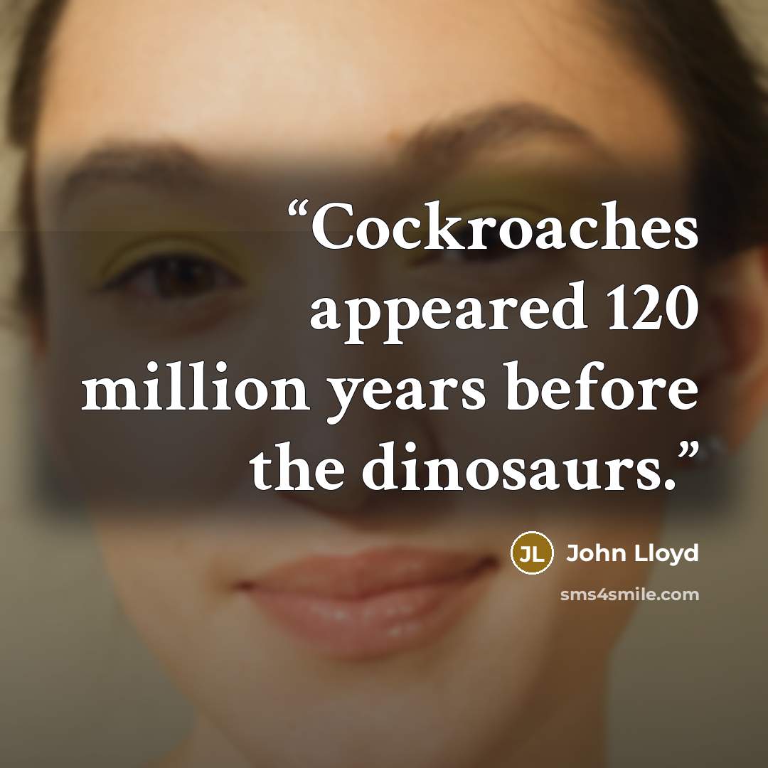 “Cockroaches appeared 120 million years before the dinosaurs.” quote by John Lloyd