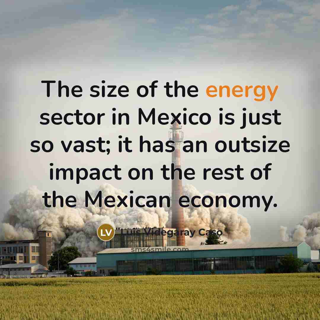 “The size of the energy sector in Mexico is just…” quote by Luis Videgaray Caso