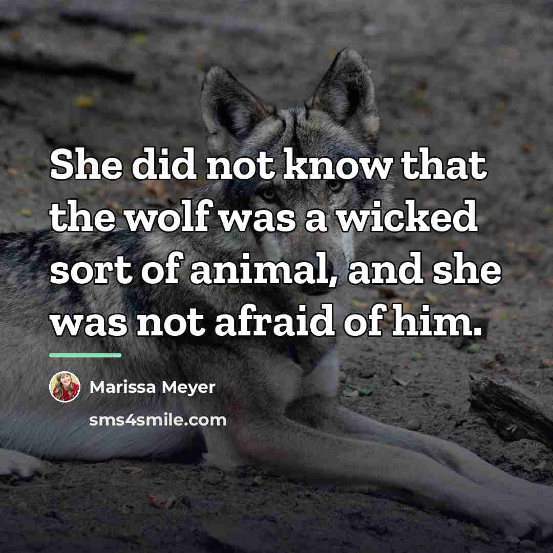 “She did not know that the wolf was a wicked…” quote by Marissa Meyer
