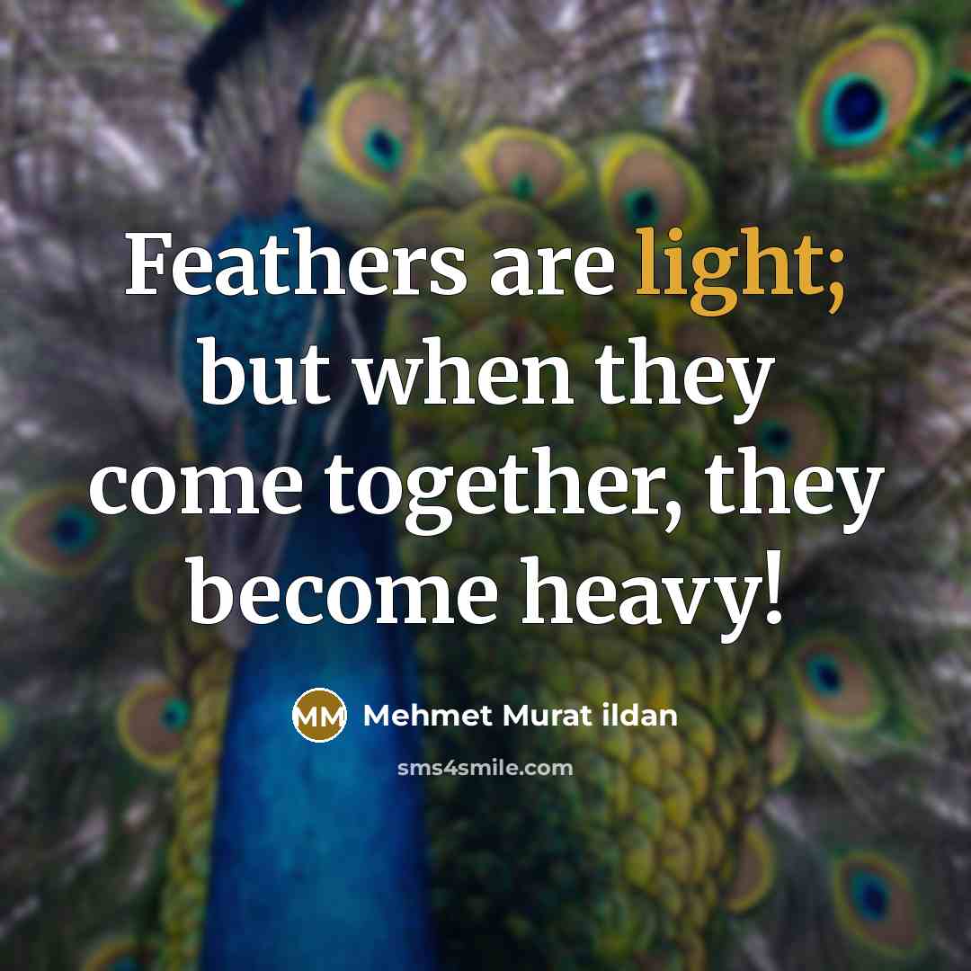 “Feathers are light; but when they come together, they become…” quote by Mehmet Murat Ildan