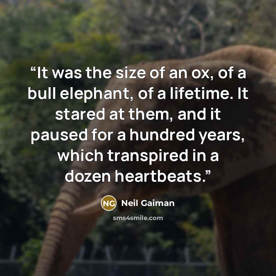 “It was the size of an ox, of a bull elephant, of a lifetime. It stared at them, and it paused for a hundred years, which transpired in a dozen heartbeats.” quote by Neil Gaiman