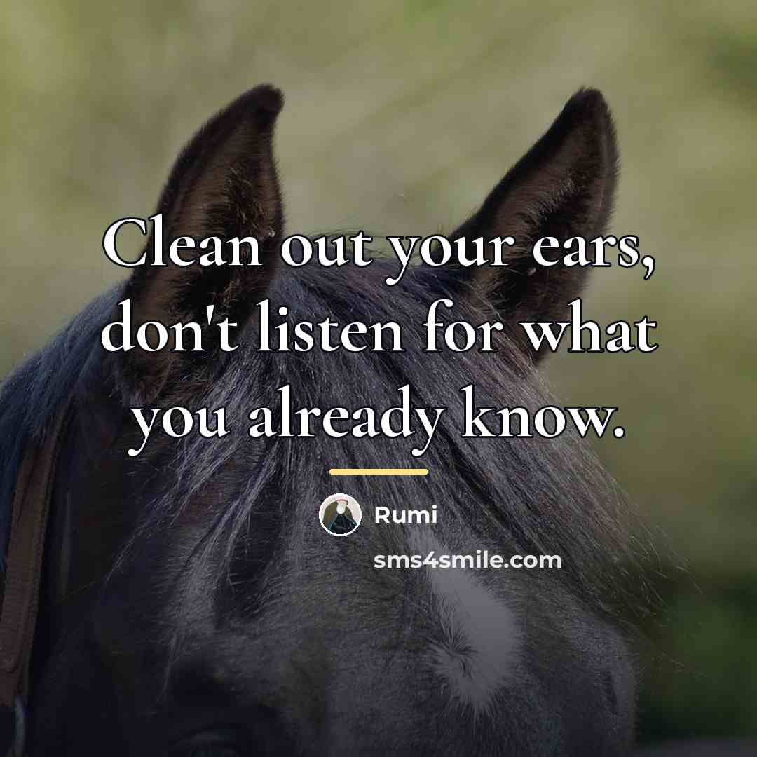 “Clean out your ears, don't listen for what you already…” quote by Rumi