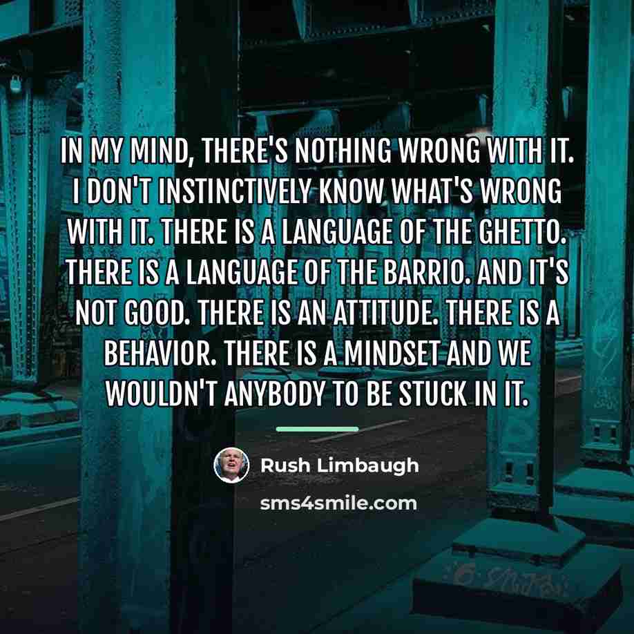 “In my mind, there's nothing wrong with it. I don't…” quote by Rush Limbaugh