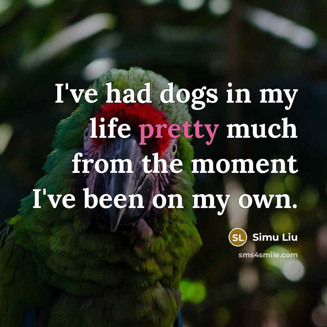 “I've had dogs in my life pretty much from the moment I've been on my own.” quote by Simu Liu