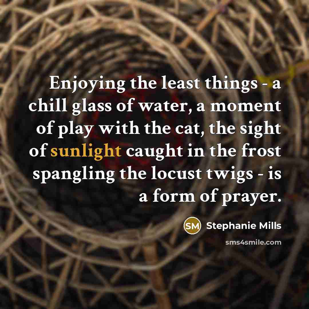 “Enjoying the least things - a chill glass of water,…” quote by Stephanie Mills