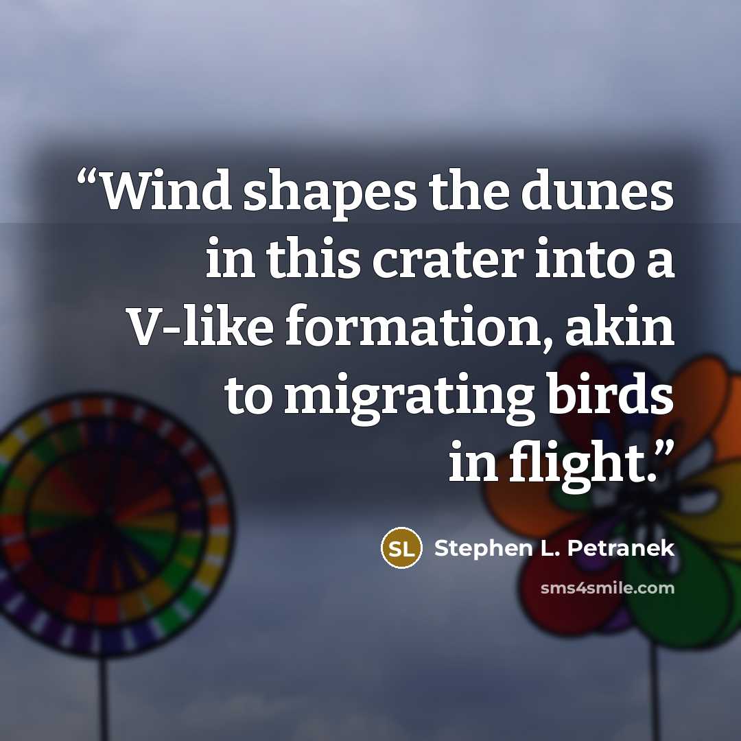 “Wind shapes the dunes in this crater into a V-like formation, akin to migrating birds in flight.” quote by Stephen L. Petranek