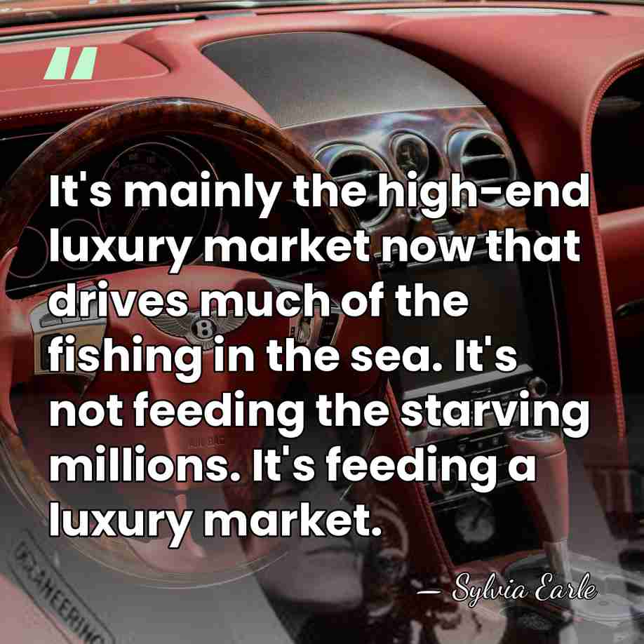 It's mainly the high-end luxury market now that drives much of the&hellip; - Sylvia Earle