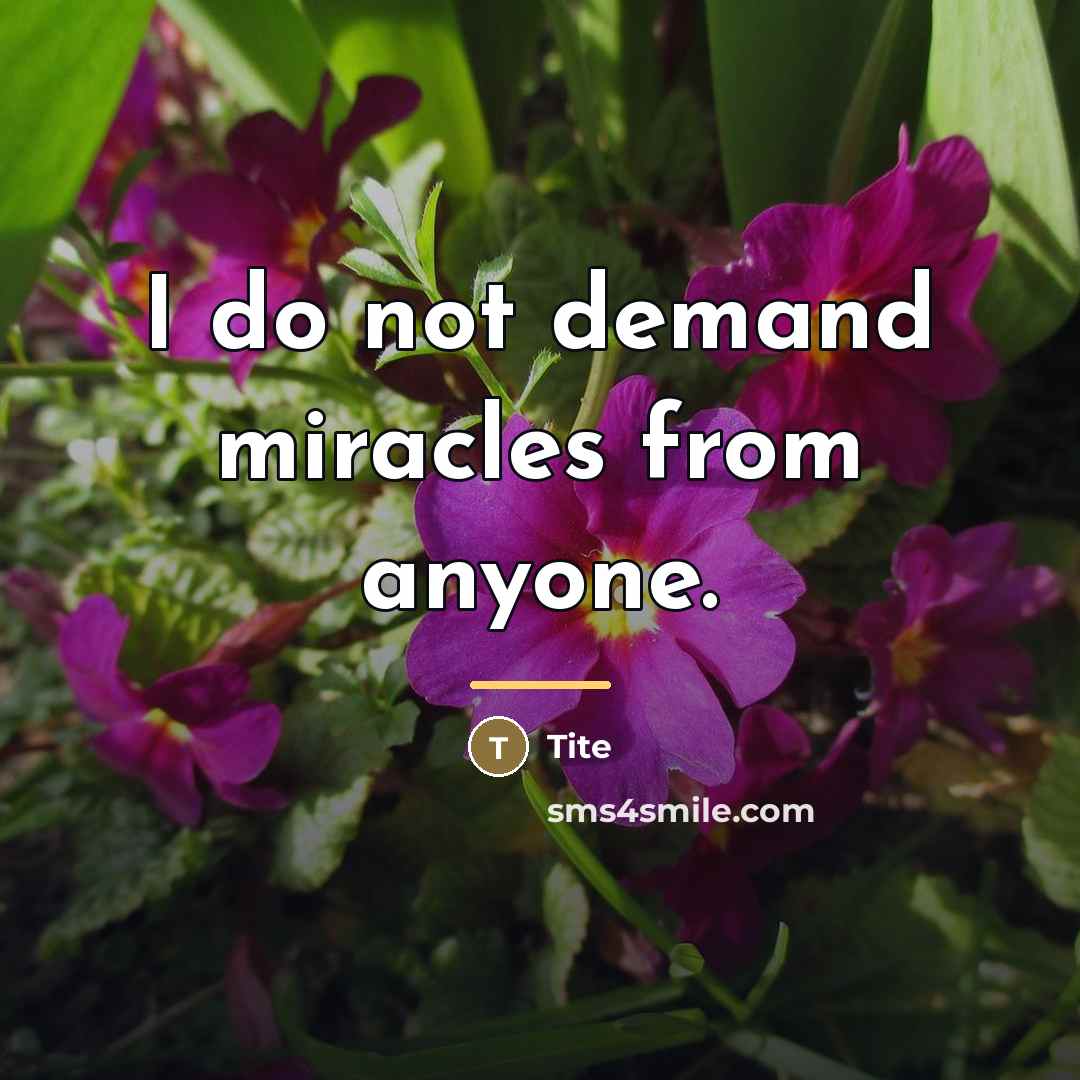 “I do not demand miracles from anyone.…” quote by Tite