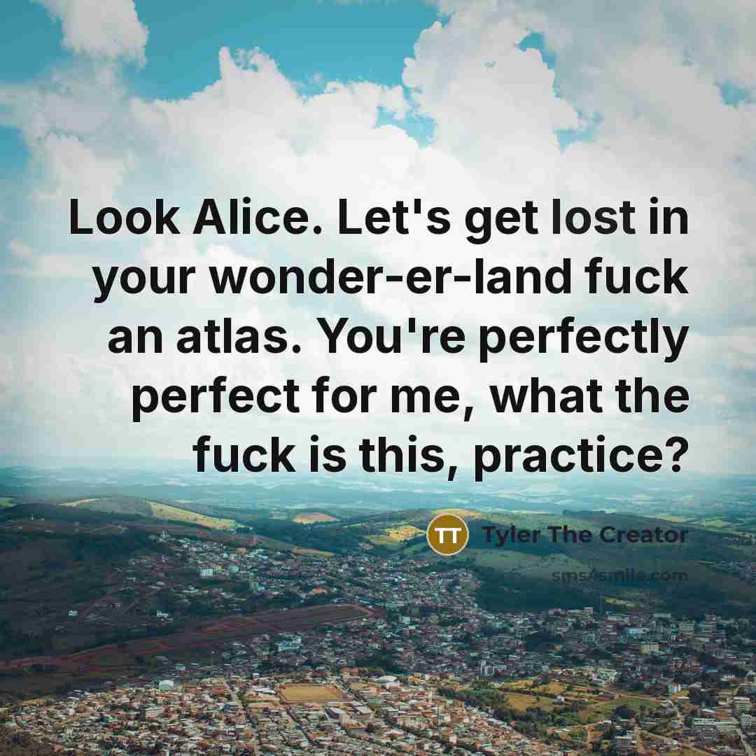 “Look Alice. Let's get lost in your wonder-er-land fuck an atlas. You're perfectly perfect for me, what the fuck is this, practice?” quote by Tyler The Creator