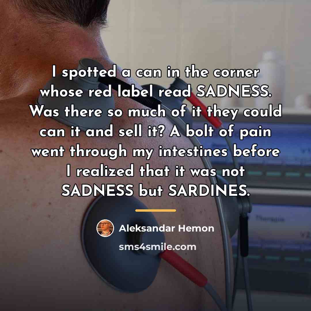 “I spotted a can in the corner whose red label…” quote by Aleksandar Hemon