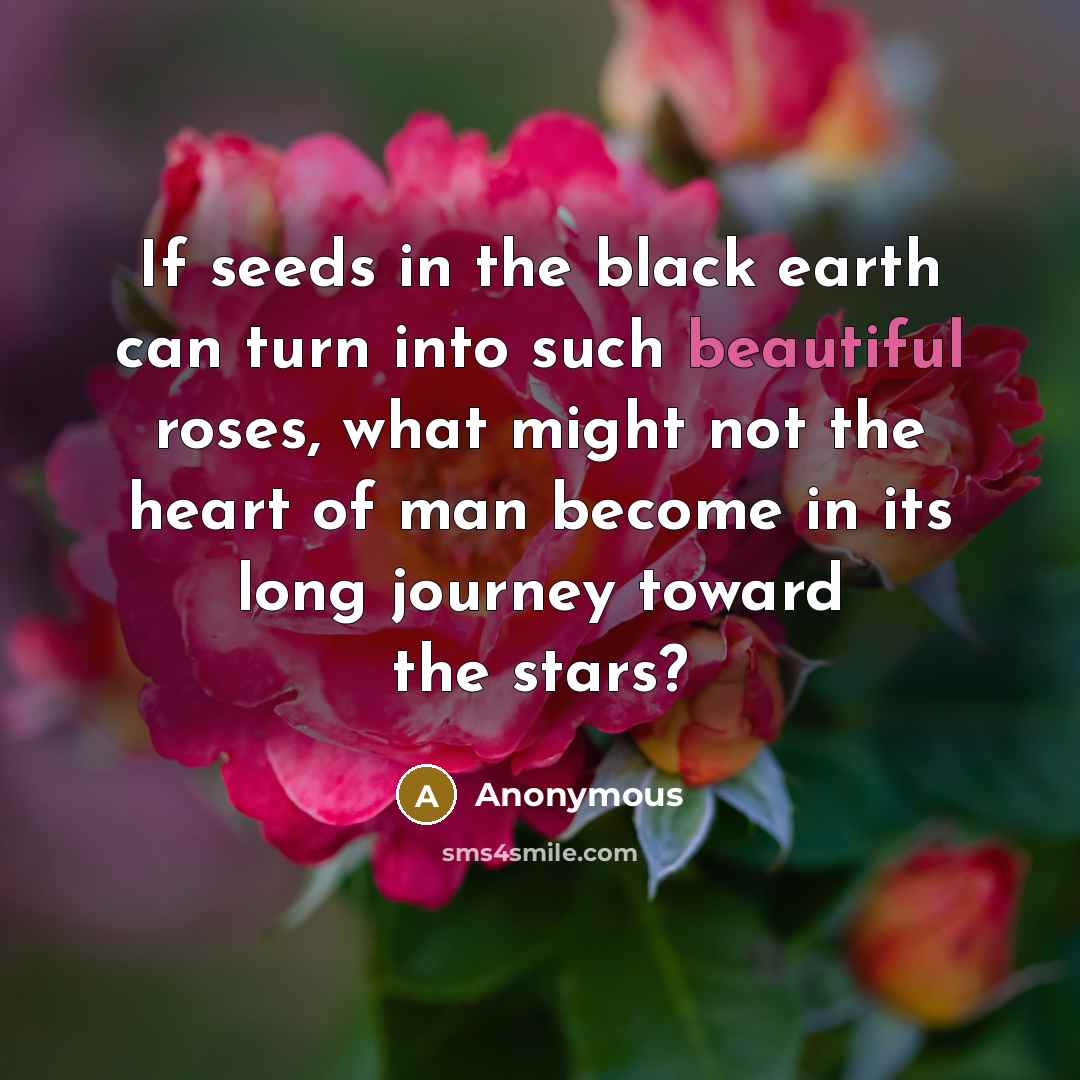 “If seeds in the black earth can turn into such…” quote by Anonymous