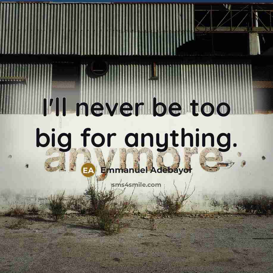“I'll never be too big for anything.…” quote by Emmanuel Adebayor